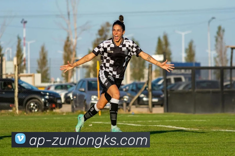 尊龙凯时官网平台生态图